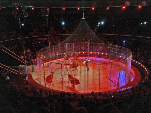 Meghalt a Cirque du Soleil előadás közben lezuhant légtornásza