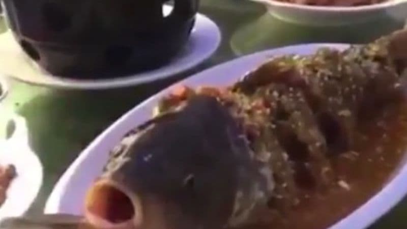 Csak erős gyomrúak bírják ki azt, amit ez a hal csinál a tányéron