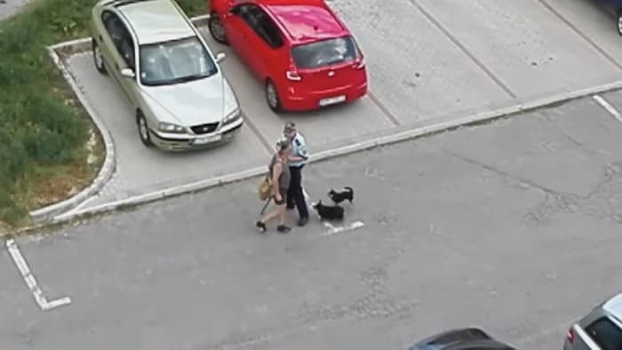 Kutya elleni támadás vagy önvédelem? A városi rendőr viselkedése megosztó reakciókat váltott ki (videó)