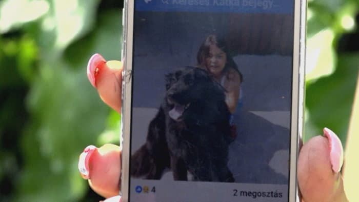 A rendőrség kihágásként kezeli a kutyáját autójával vontató nyugdíjas esetét – a férfit feljelentették az állatvédők