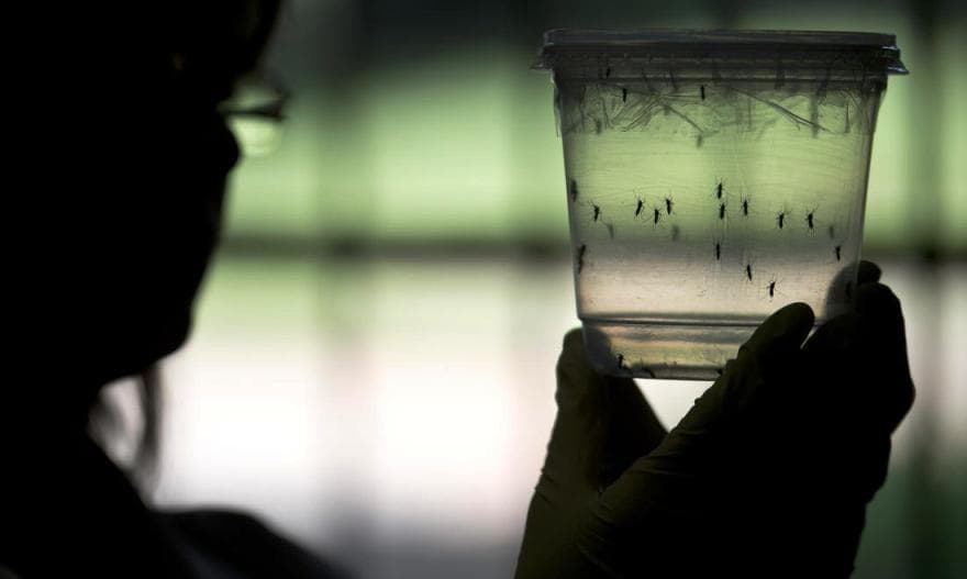 Malajziában is megjelent a Zika-vírus