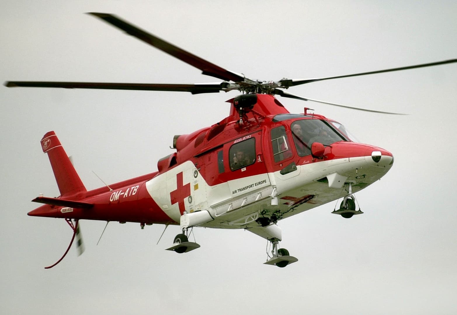 Fa dőlt egy fiatal férfire, helikopterrel szállították kórházba