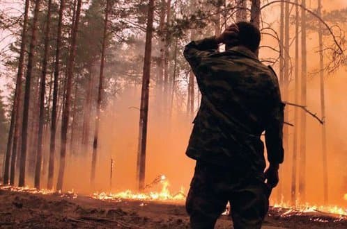 Ellenőrzés alá vonták az erdőtüzet Portugáliában, a kár mintegy 10 millió euró