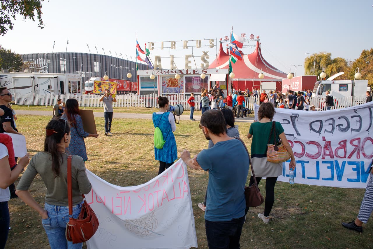 Mától tényleg véget érhetnek az állatok cirkuszi szenvedései Szlovákiában