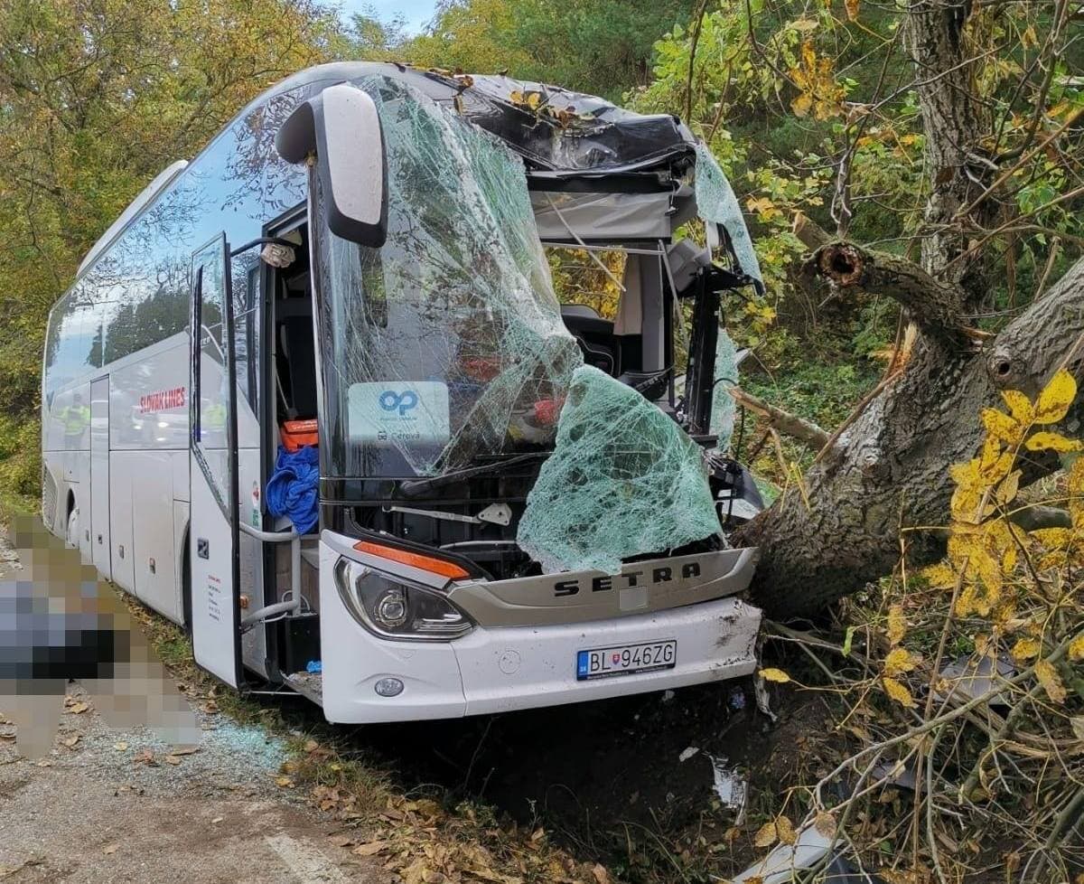 Halálos baleset: fának hajtott egy autóbusz, a sofőr a helyszínen életét vesztette