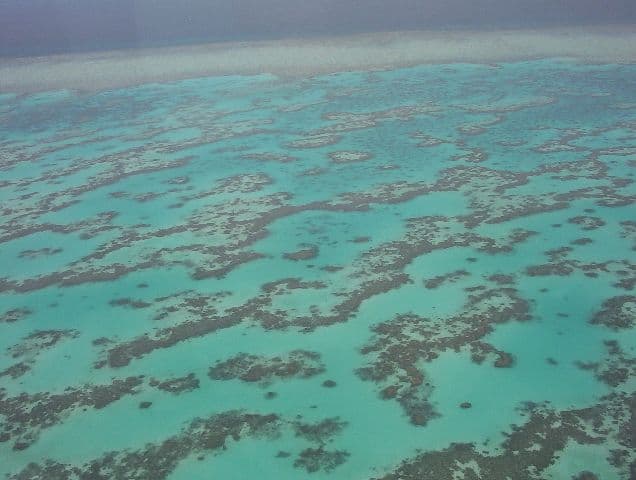 Egyre jobb állapotban van a Nagy-korallzátony