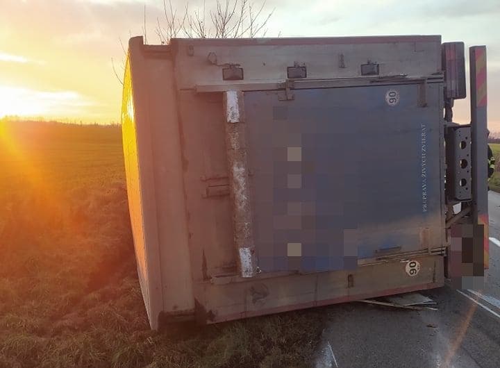 BALESET: Disznókat szállító kamion borult az árokba (FOTÓK)