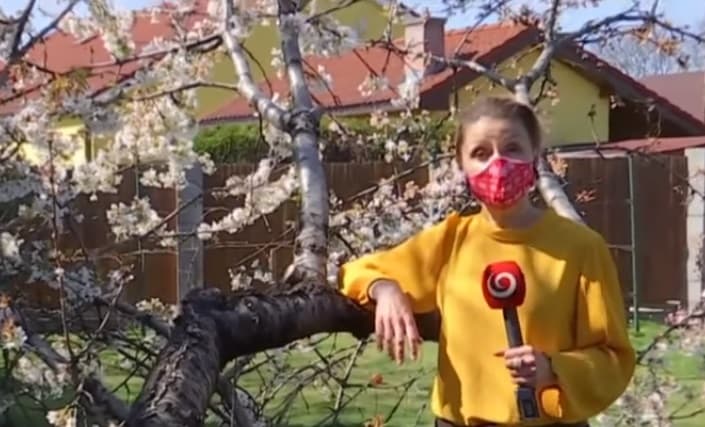 Drahu Dobrovicsová magyarul kívánt áldott húsvétot a Joj TV-n