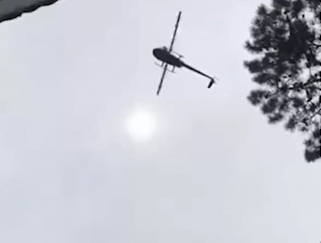 ÉSZMEGÁLL! Sertést dobtak helikopterről egy vállalkozó medencéjébe (VIDEÓ)