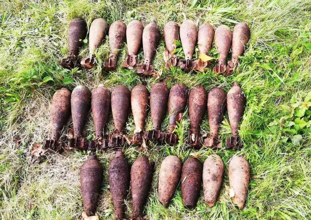 Elképesztő! Majdnem harminc második világháborús tüzérségi löveget találtak egy erdőben