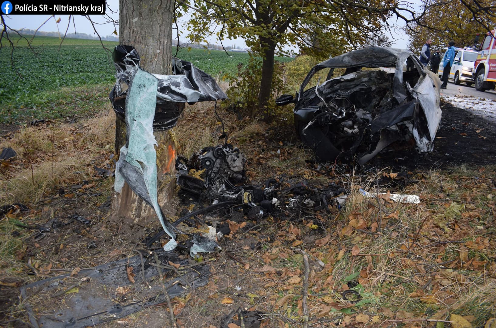 Tragikus mindenszentek: fának rohant és kigyulladt a Volkswagen, a 18 éves sofőr meghalt (FOTÓK)