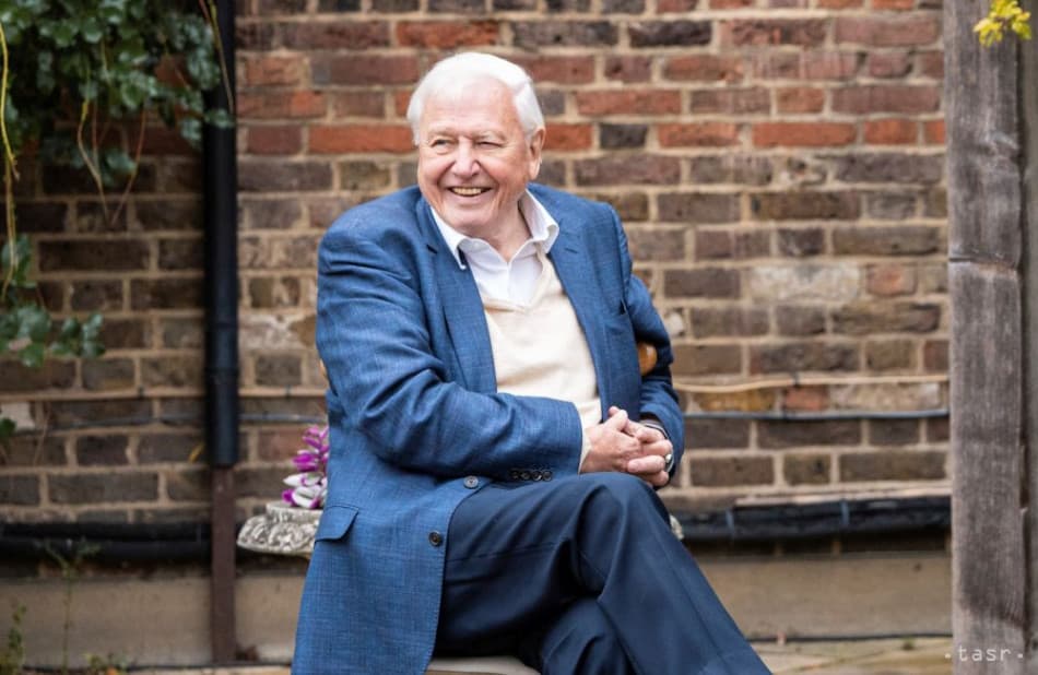 Királyi kitüntetést kapott David Attenborough