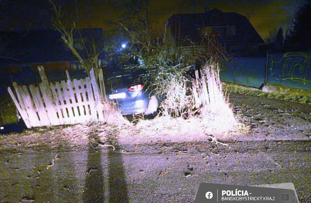 BALESET: Egy kerítést áttörve fának hajtott a részeg fiatal sofőr