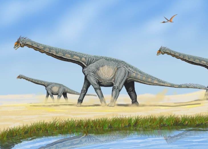 Apró emlősök táplálkoztak az elhullott dinoszauruszok húsából