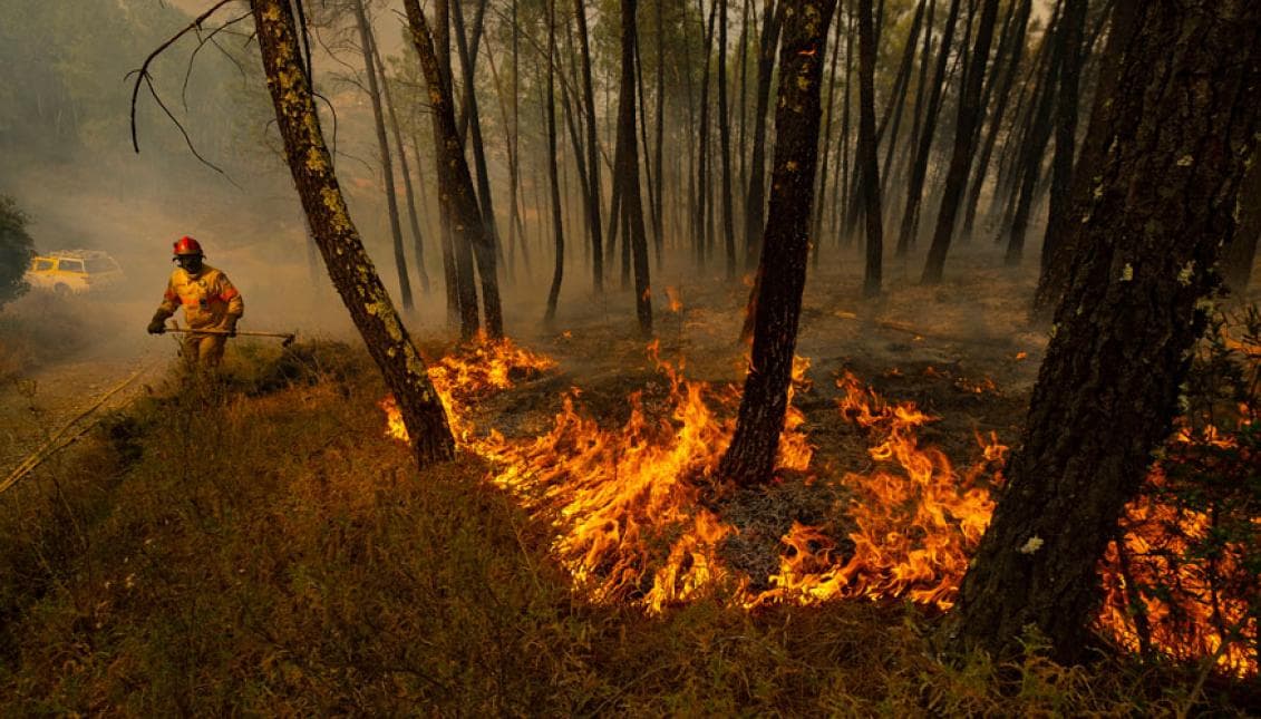 Önkéntes tűzoltókat vádolnak az amazonasi erdő felgyújtásával 
