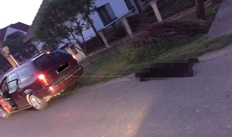 Kocsijához kötve vonszolta haza kutyáját a nyugdíjas - Az eb elpusztult, a férfit megverték