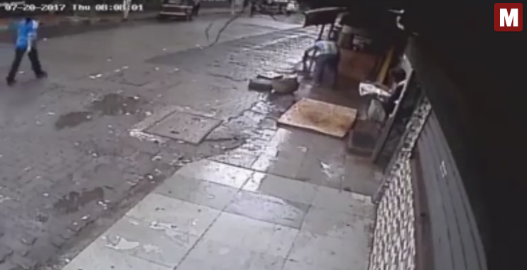DURVA: Videón, ahogy halálra zúz egy nőt a kidőlő fa +18