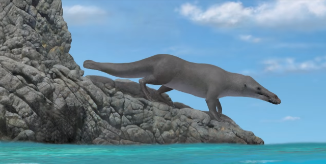 Az ősi négylábú bálna a Csendes-óceánon át jutott Dél-Amerikába (VIDEÓ)