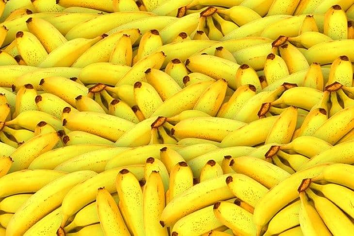 Az ausztrál őslakosok már több mint 2000 éve termesztettek banánt