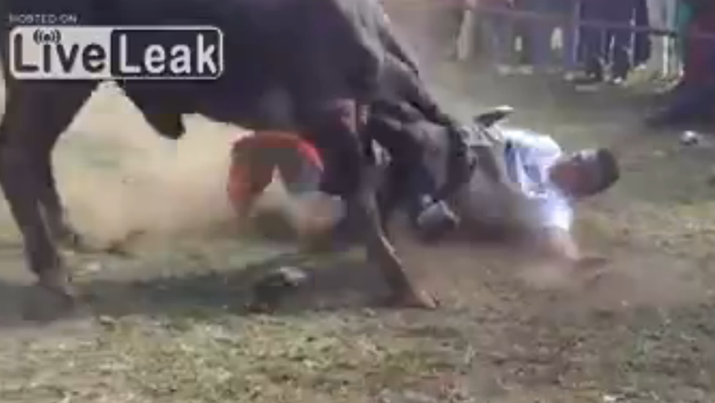 Két embert szúrtak meg a bikák a pamplonai bikafuttatásokon