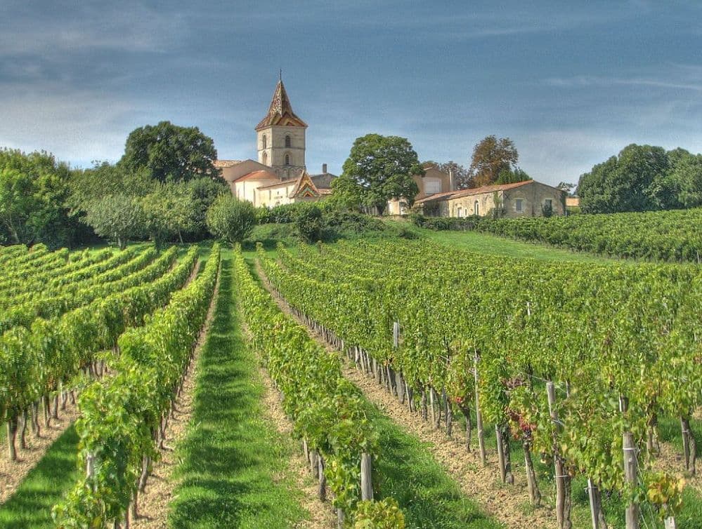 Két rekordról számolnak be a francia borászok