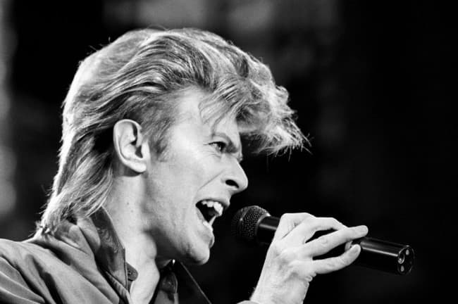 Több mint 18 ezer dollárért kelt el David Bowie hajtincse