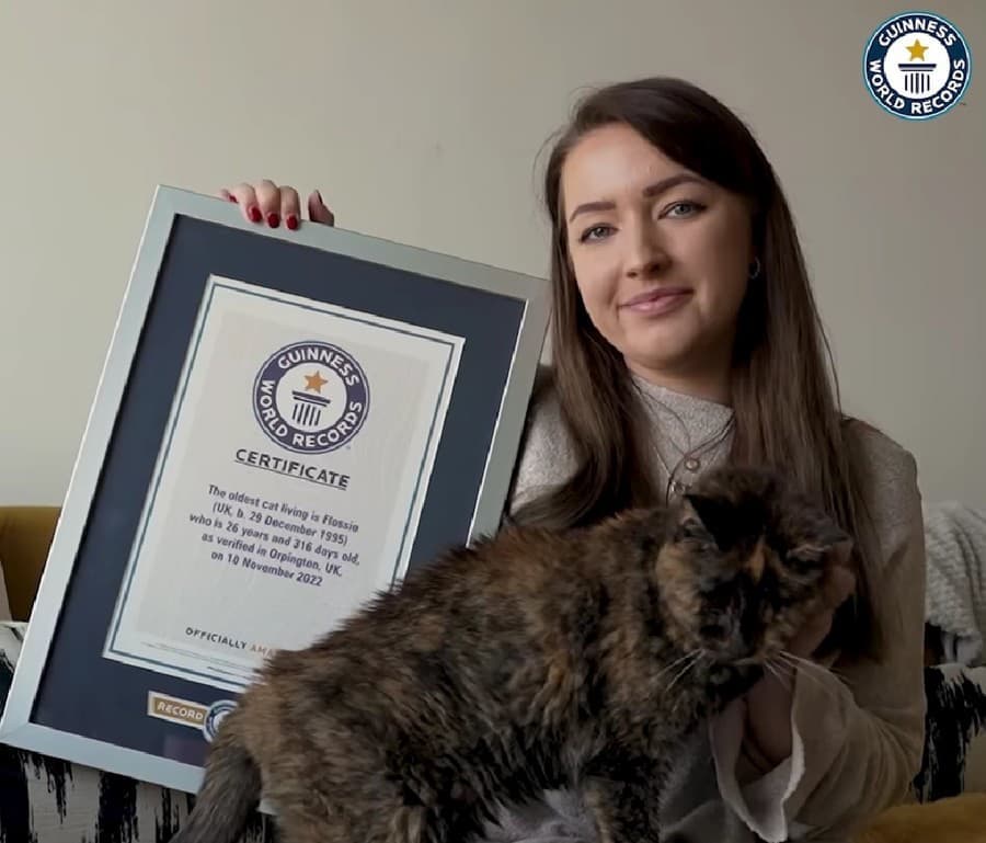 Foltos Flossie a rekorder: nem fogja elhinni, hány éves a világ legidősebb macskája!