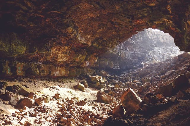 Tökéletes állapotban maradt fenn egy 28 ezer éves barlangi oroszlánkölyök teteme