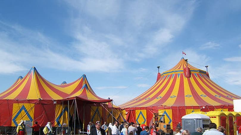 Nem szerepelhetnek többé vadállatok a franciaországi cirkuszokban
