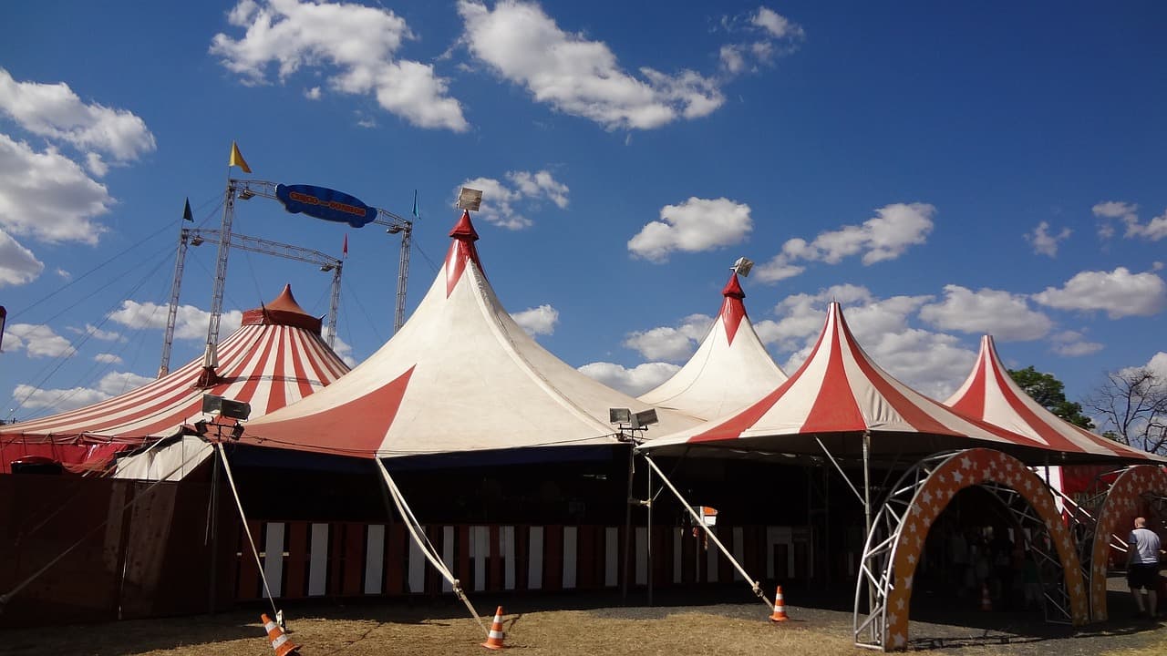 Állatkínzással gyanúsították meg az ismert cirkuszt – az ellenőrzések során kiderült az igazság