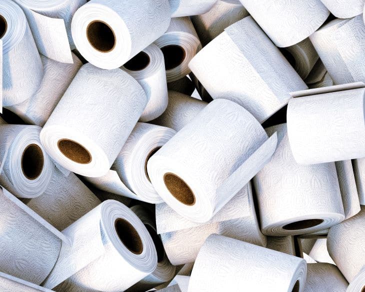 Eddig több mint 2 ezer eurót költöttt bizarr szokására a nő - WC papírt eszik (VIDEÓ)