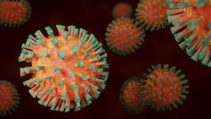 Meghalt 21 beteg, 255-tel nőtt a koronavírus-fertőzöttek száma Magyarországon