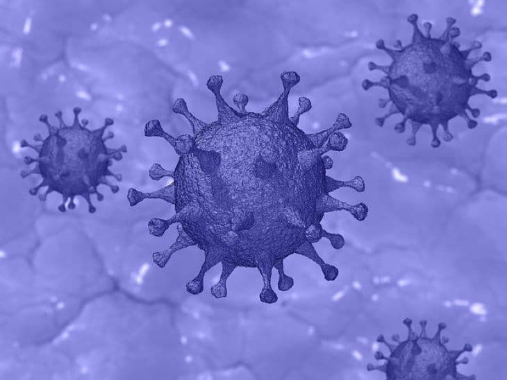Kanadát is elérte a Nagy-Britanniában azonosított koronavírus-mutáció
