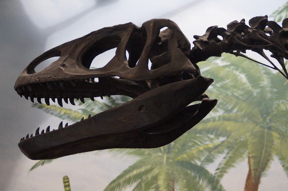 Dinoszaurusszal szelfizett egy betörő a világ legrégibb természettudományi múzeumában (FOTÓ)