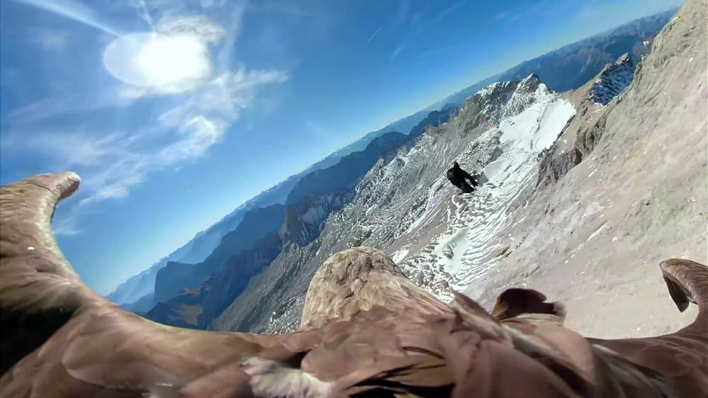 Egy rétisas "szemén" át mutatják meg az Alpok pusztuló gleccsereit