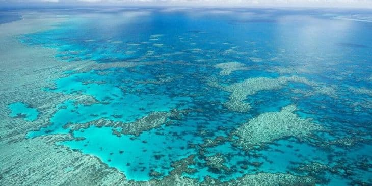 A Nagy-korallzátony csupán két százalékát nem érintette eddig a korallfehéredés