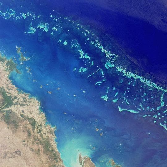Elkészült a Nagy-korallzátony virtuális térképe