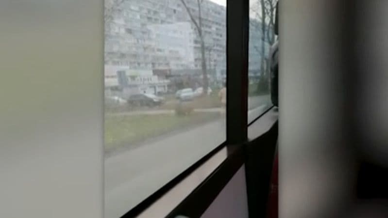 Elképesztő! Teljesen pucéran rohangált egy fickó a pozsonyi utakon (videó) 18+
