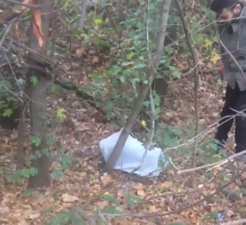 KEGYETLEN: Zsákba kötöztek és kidobtak az erdőbe egy aranyos kutyust (videó)