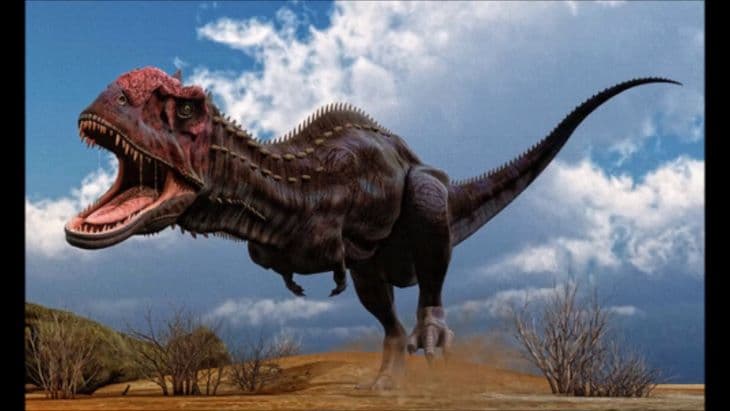 Fészkén és tojásain ülő dinoszaurusz maradványaira bukkantak Kínában