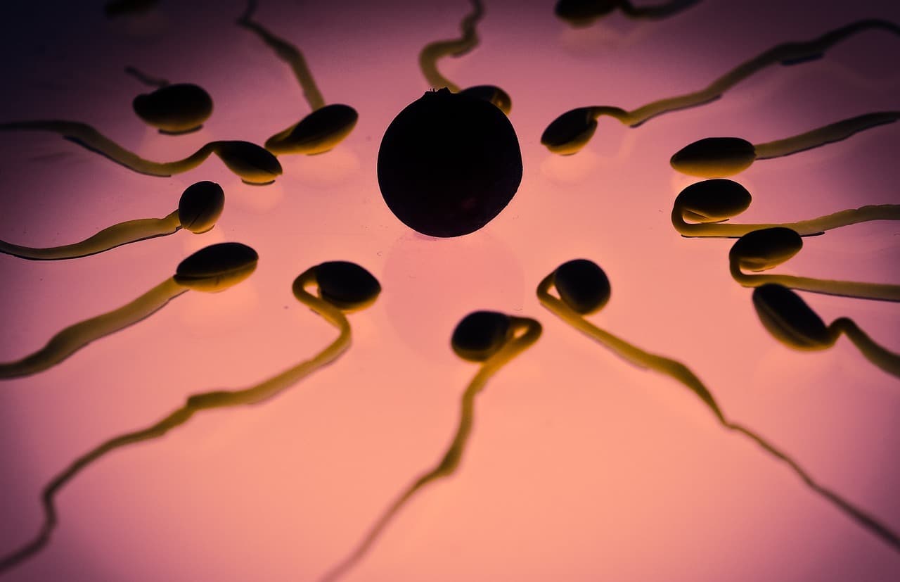 A légszennyezés károsítja a sperma minőségét