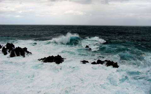Veszélybe került a tengeri élővilág az új-zélandi földrengés miatt