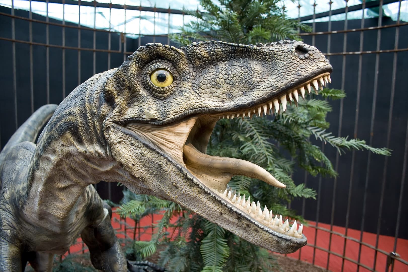 Kilencvenmillió éves raptorcsontokat találtak az ELTE kutatói Ausztriában